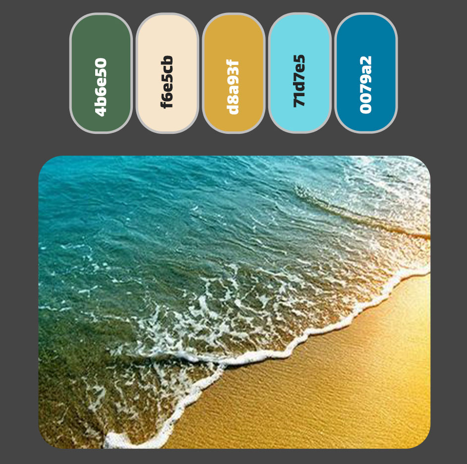 یکی از 10 پالت رنگی لوکس این ترکیب رنگهای لوکس در تصویری از ساحل دریا که می تواند طراحی شما را از شکوه دریا بهره مند کند.